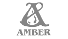 Wydawnictwo Amber - Klient VisualTeam.pl